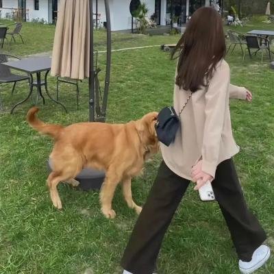 万能强人